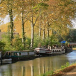 garonne patrimoine service placements financiers